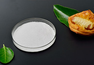 Anidro fosfato Dissódico(DSP)
